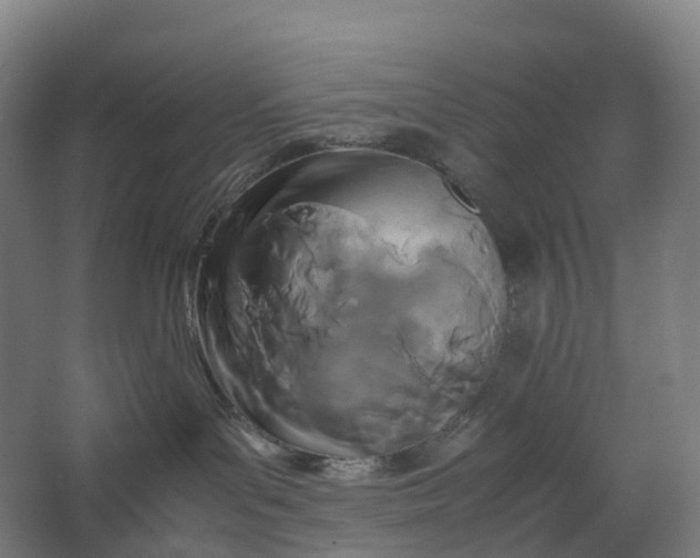 X0000062900143200601271723