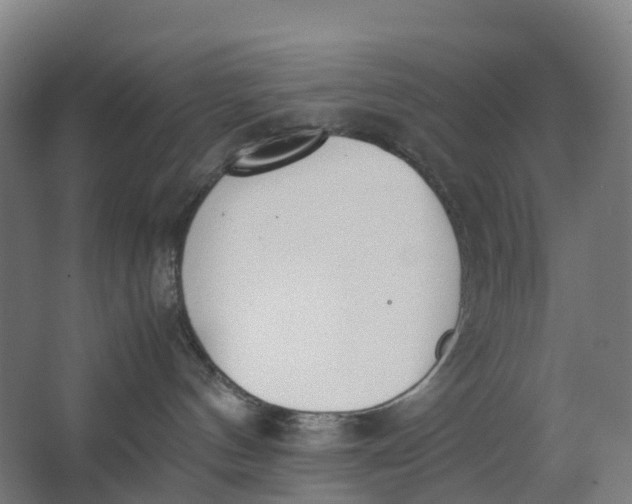 X0000062900144200601271723