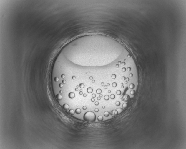 X0000062900145200601271722