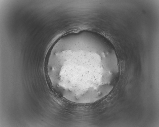 X0000062900147200601271722