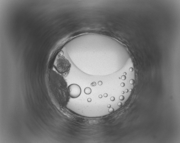 X0000062900149200601271722