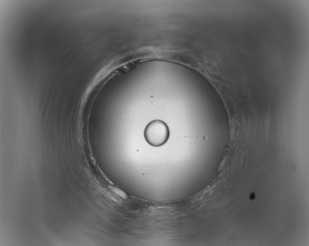 X0000062900150200601271722