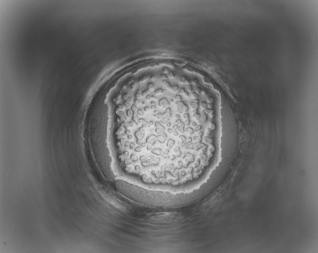 X0000062900151200601271722