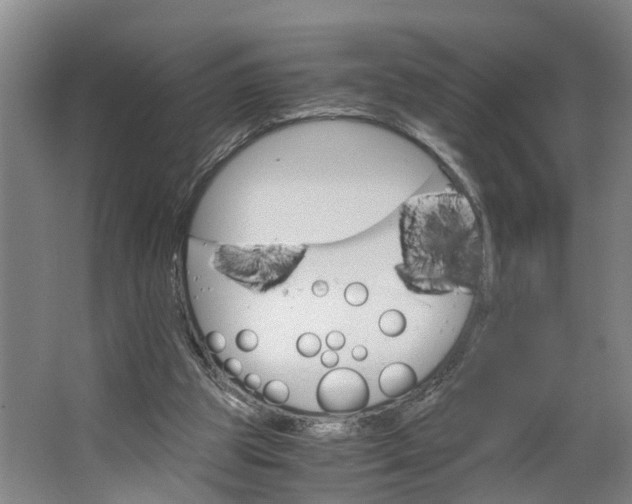 X0000062900153200601271722