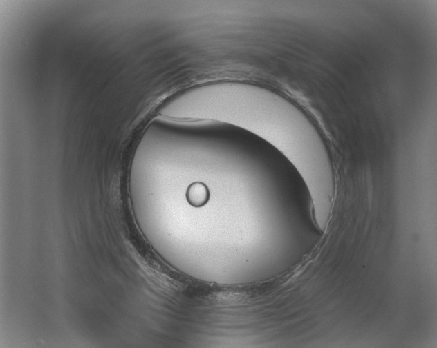 X0000062900154200601271722