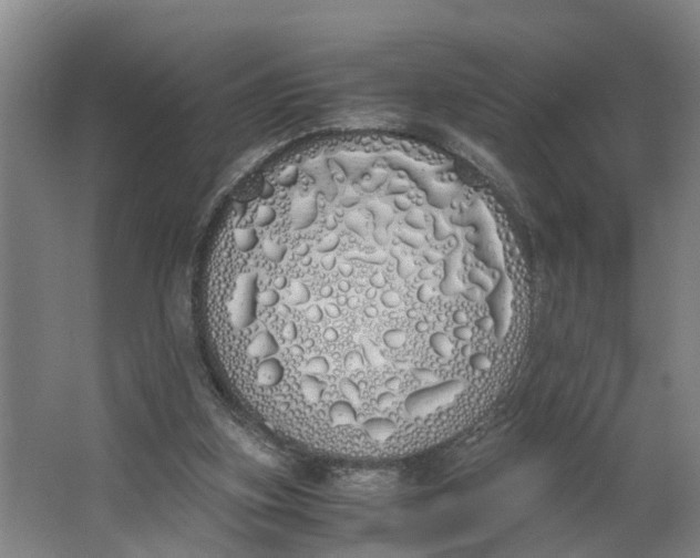 X0000062900155200601271722