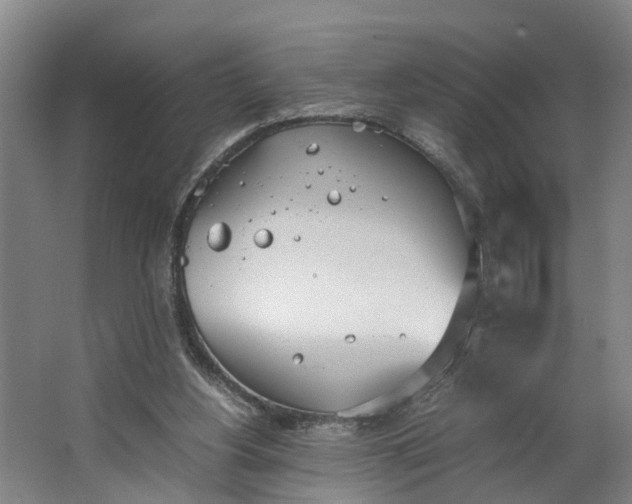 X0000062900156200601271722