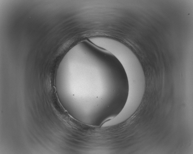 X0000062900158200601271723