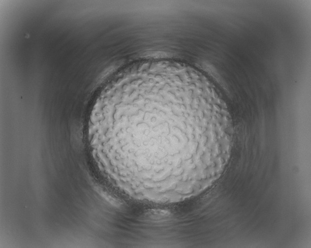 X0000062900159200601271723