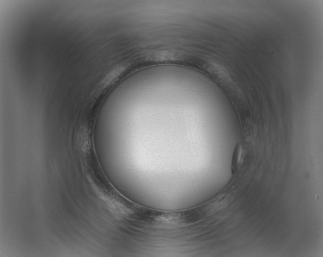 X0000062900164200601271723