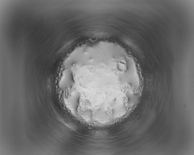 X0000062900165200601271723