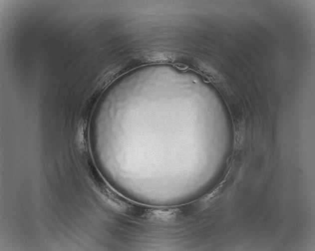 X0000062900166200601271723