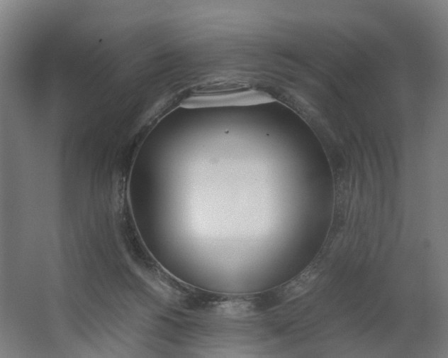 X0000062900168200601271723