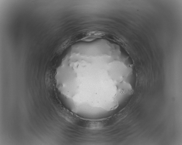 X0000062900169200601271723