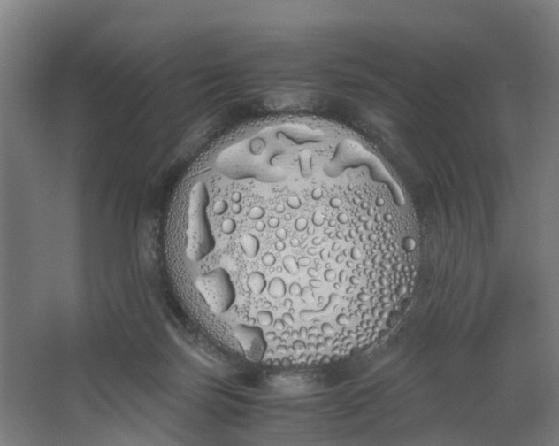 X0000062900171200601271723