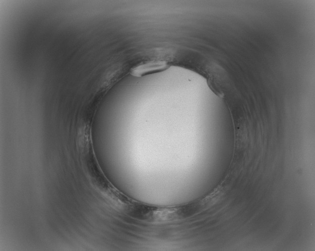 X0000062900172200601271723