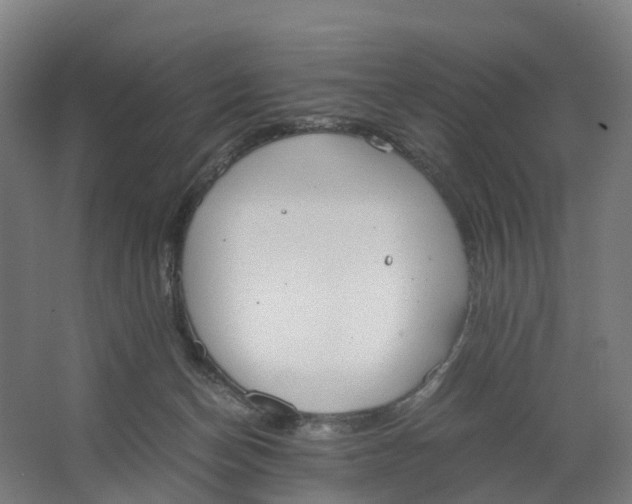 X0000062900174200601271723