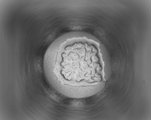 X0000062900175200601271723