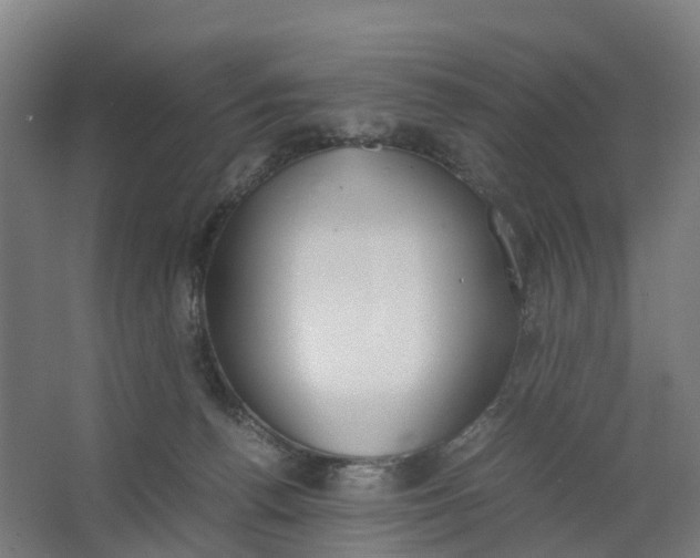 X0000062900176200601271723