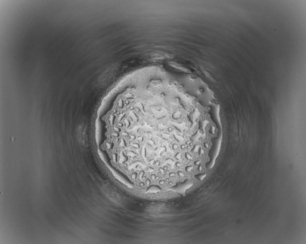 X0000062900177200601271723