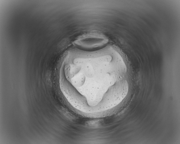 X0000062900178200601271723