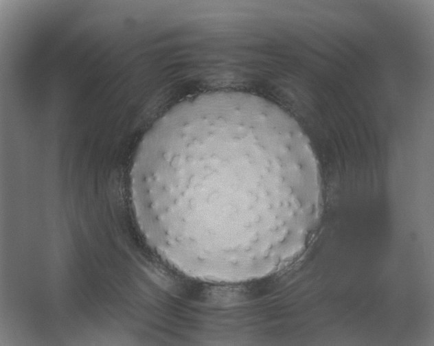 X0000062900179200601271723