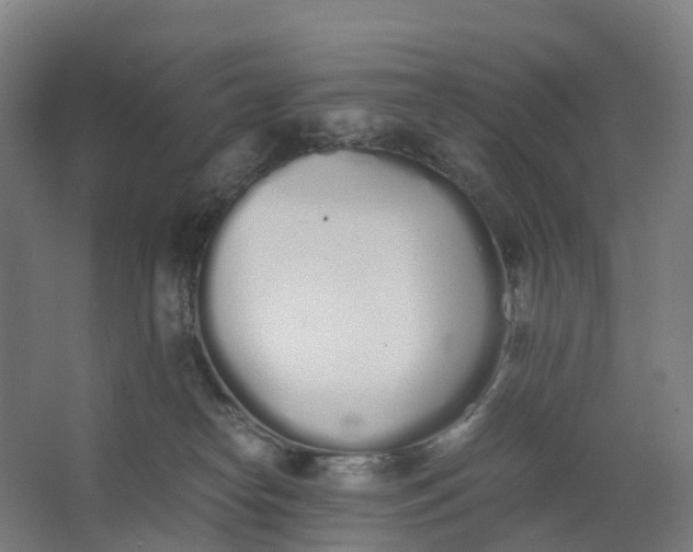 X0000062900182200601271723