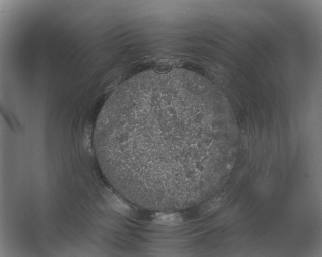 X0000062900185200601271723