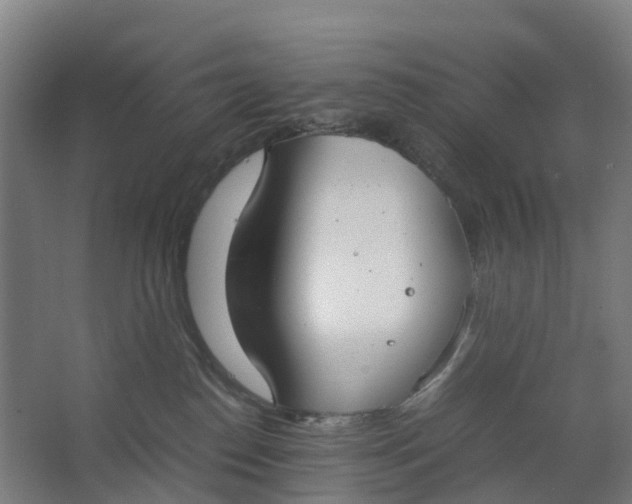 X0000062900186200601271723