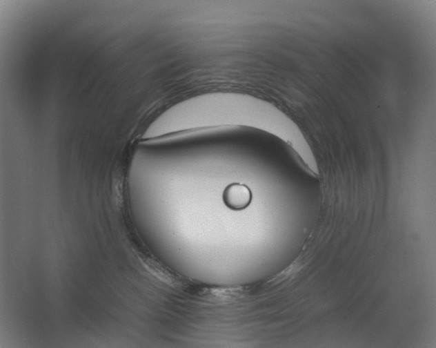 X0000062900188200601271723