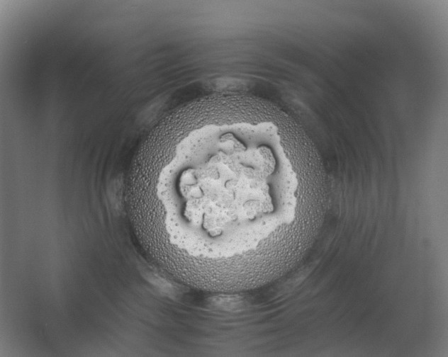 X0000062900189200601271723