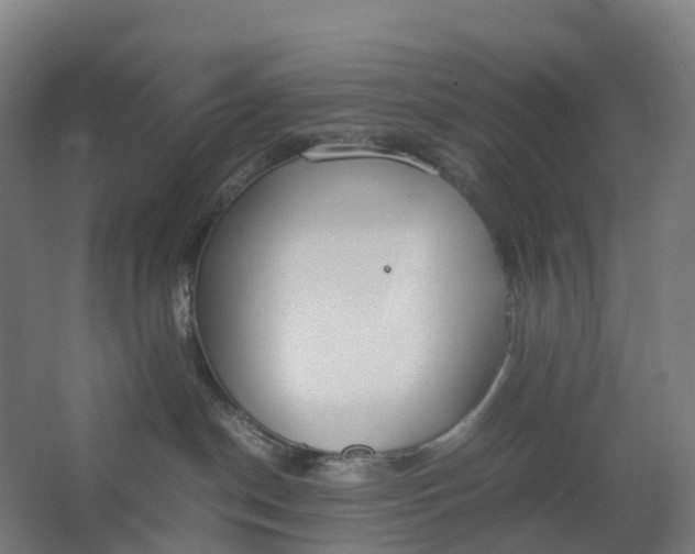 X0000062900190200601271723