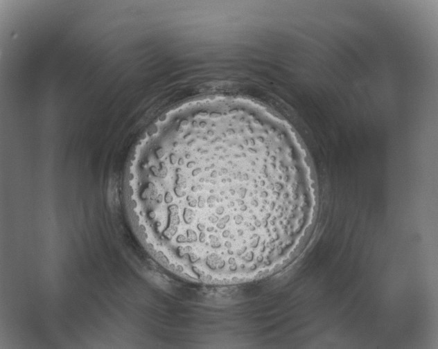 X0000062900191200601271723