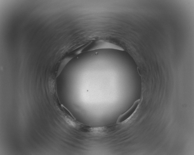 X0000062900192200601271723