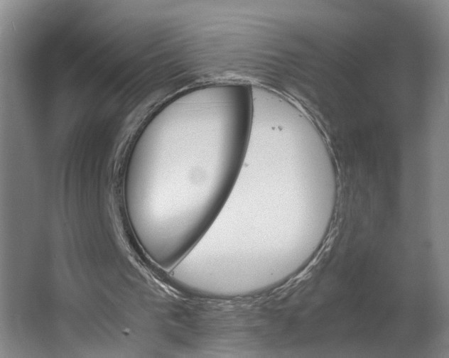 X0000062900193200601271722