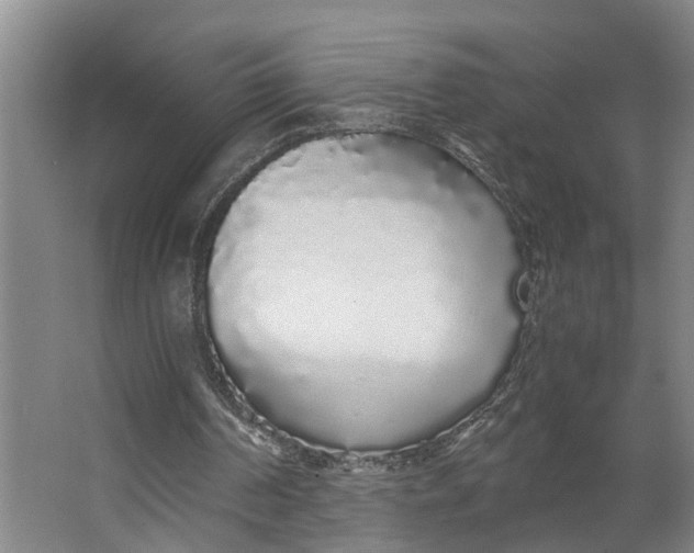 X0000062900194200601271722