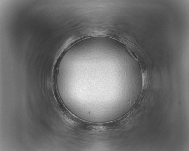 X0000062900195200601271722