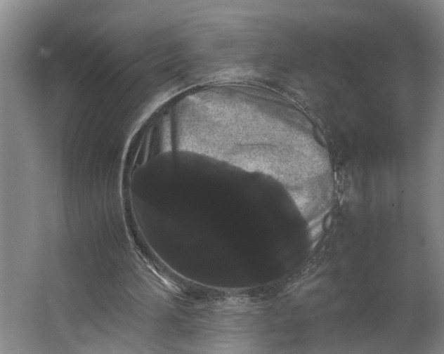 X0000062900196200601271722