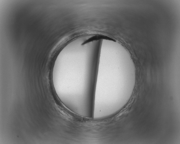 X0000062900197200601271722