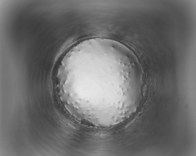 X0000062900198200601271722