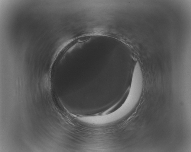 X0000062900200200601271722