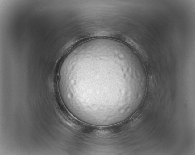 X0000062900203200601271722