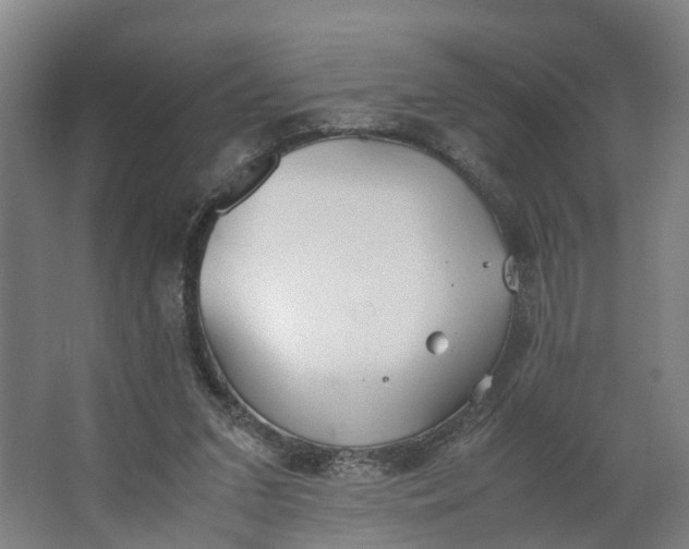 X0000062900207200601271722