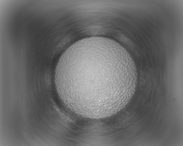 X0000062900210200601271722