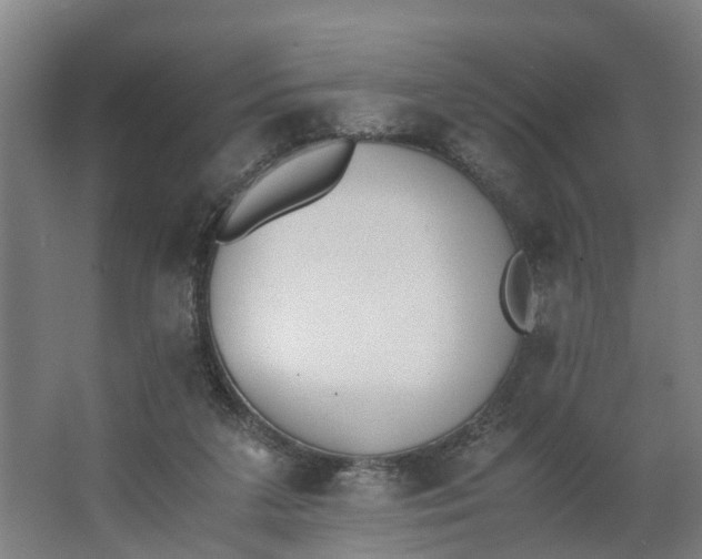 X0000062900211200601271722