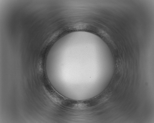 X0000062900212200601271722