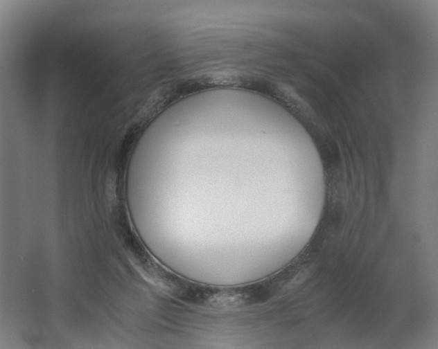 X0000062900213200601271722