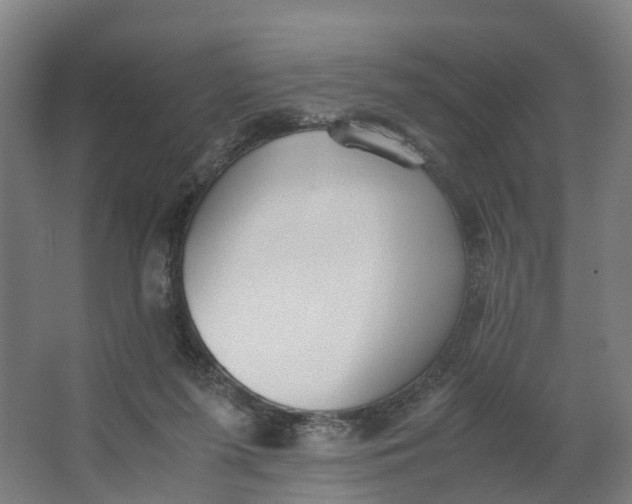 X0000062900215200601271722