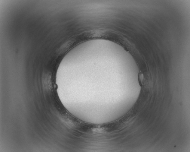 X0000062900216200601271722