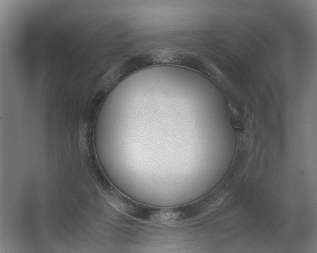 X0000062900217200601271722